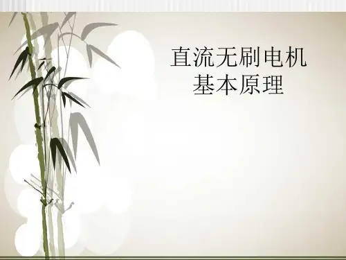 永磁电机 ppt课件