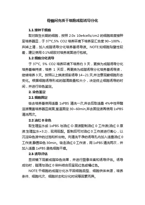 骨髓间充质干细胞成脂诱导分化
