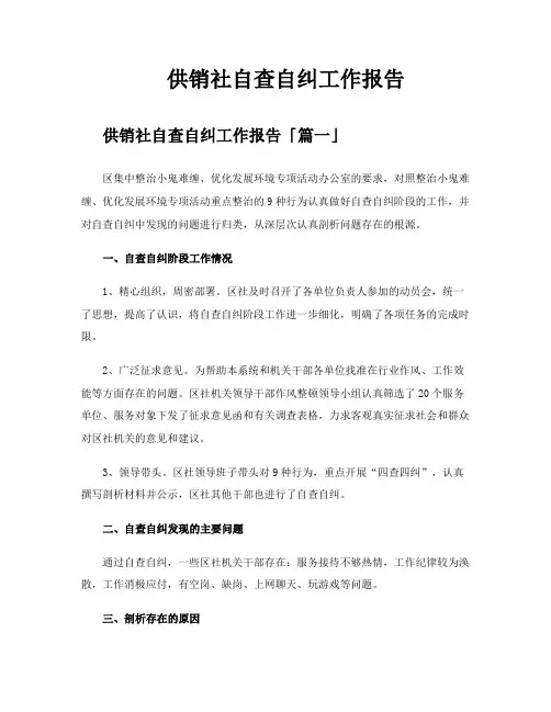 供销社自查自纠工作报告