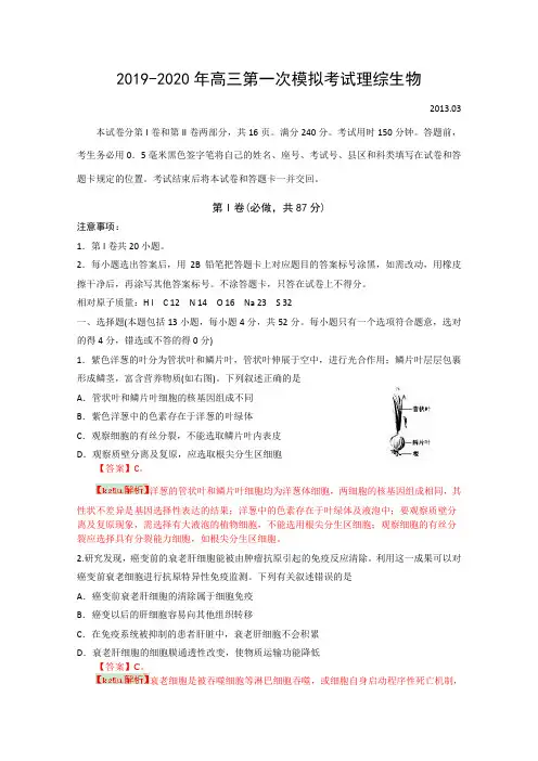 2019-2020年高三第一次模拟考试理综生物