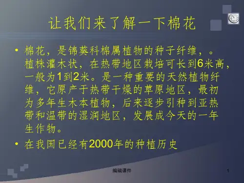 棉花常见病虫害及防治ppt课件