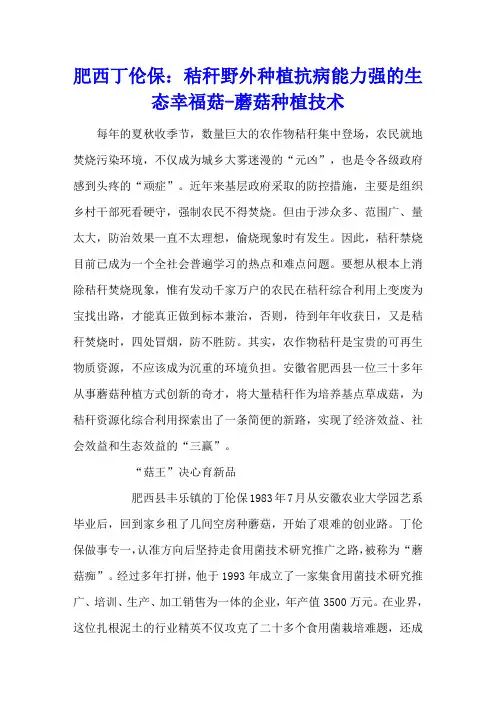 肥西丁伦保：秸秆野外种植抗病能力强的生态幸福菇 - 蘑菇种植技术