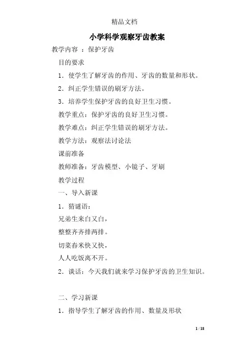 小学科学观察牙齿教案