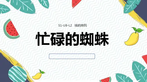 《忙碌的蜘蛛》幼儿园小学少儿美术教育PPT绘画课件创意教程教案