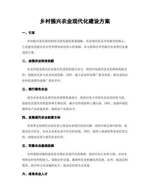 乡村振兴农业现代化建设方案