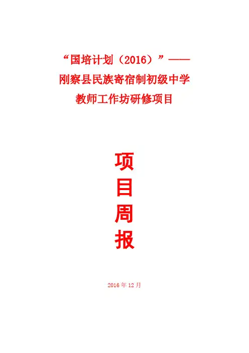 “国培计划(2016)中学研修项目阶段总结简报