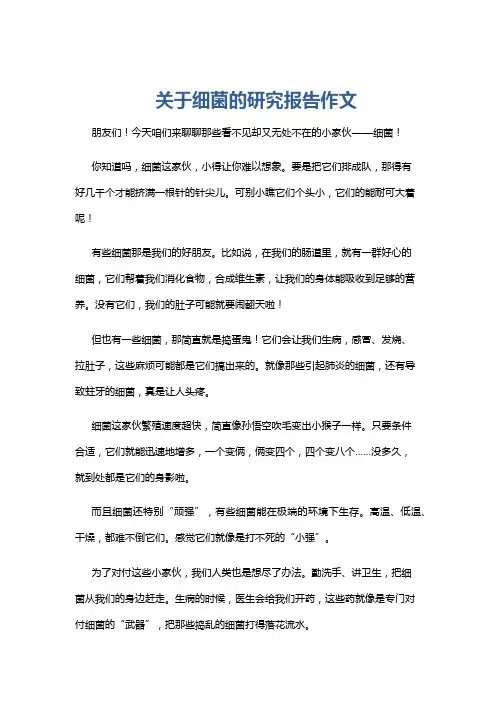 关于细菌的研究报告作文