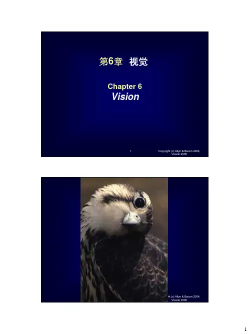 生理心理学课件 第6章 视觉
