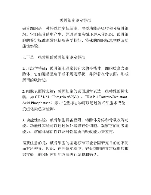 破骨细胞鉴定标准