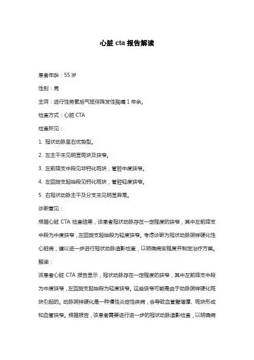 心脏cta报告解读