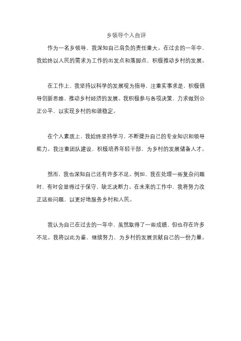 乡领导个人自评