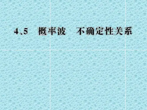 高二物理课件 17.4 概率波 17.5 不确定性关系 (人教版选修3-5)
