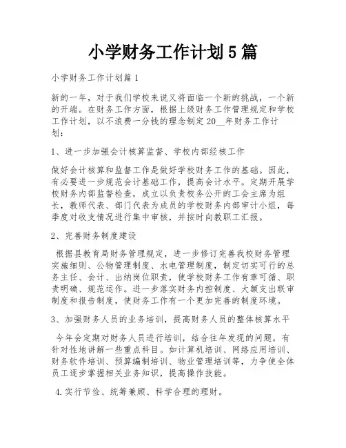 小学财务工作计划5篇