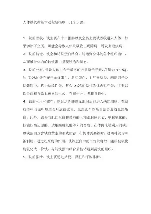 人体铁代谢基本过程