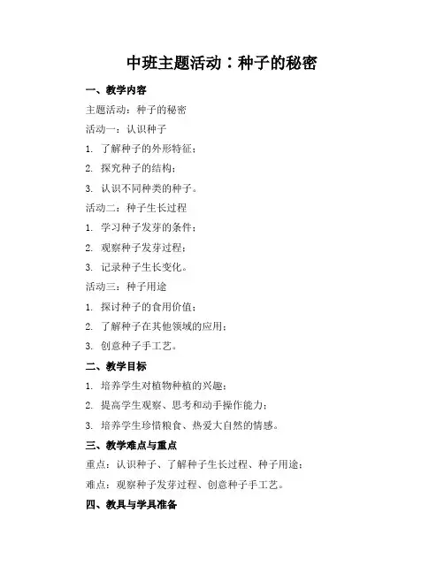 中班主题活动∶种子的秘密
