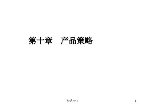 《产品策略解析》PPT课件