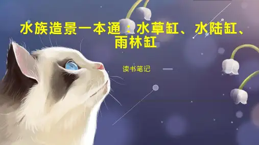 水族造景一本通：水草缸、水陆缸、雨林缸