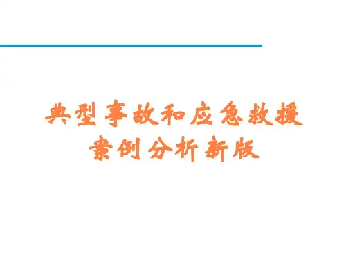 典型事故和应急救援案例分析新版