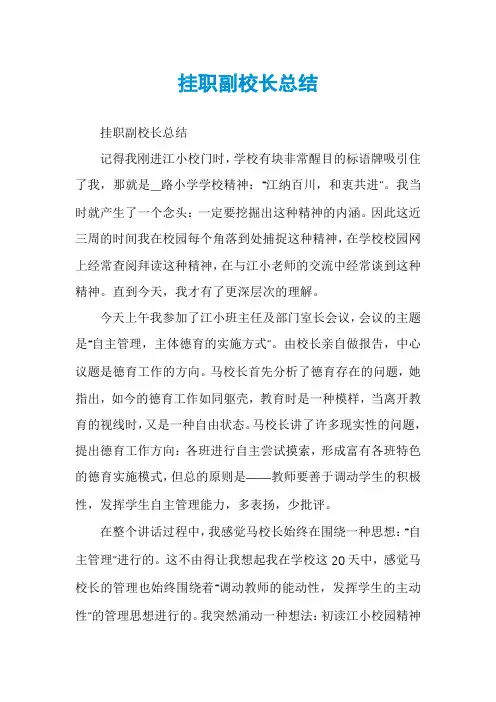 挂职副校长总结