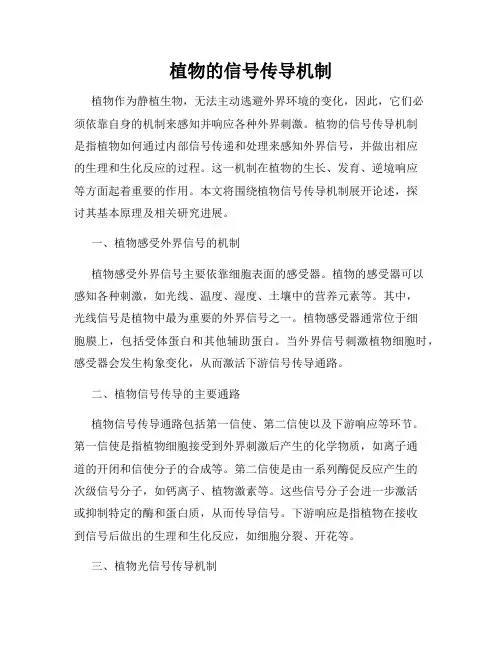 植物的信号传导机制