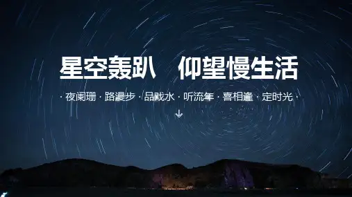 房地产行业-星空灯光节活动策划方案