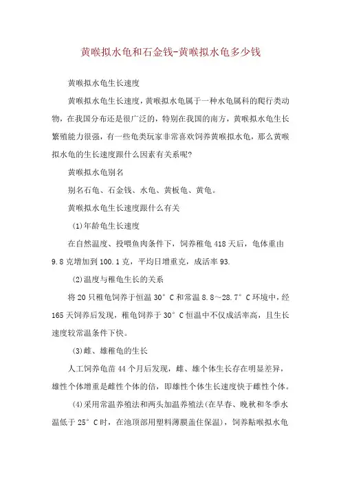 黄喉拟水龟和石金钱-黄喉拟水龟多少钱