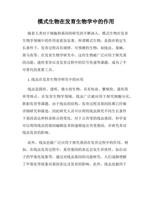 模式生物在发育生物学中的作用