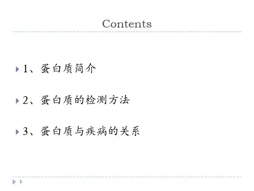 蛋白质检测方法ppt课件