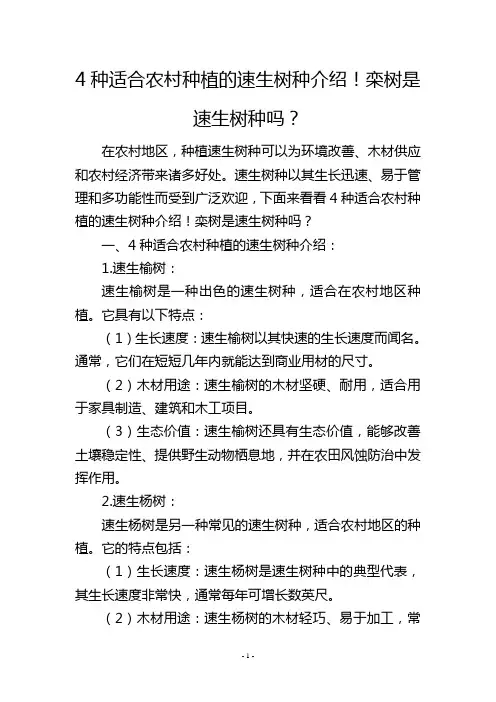 4种适合农村种植的速生树种介绍!栾树是速生树种吗？