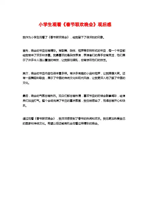小学生观看《春节联欢晚会》观后感