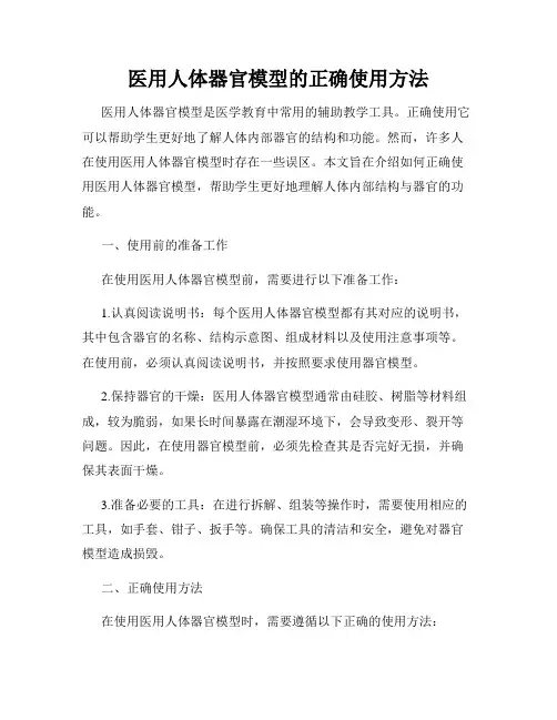 医用人体器官模型的正确使用方法