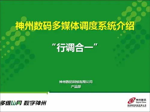 神州数码IP语音调度系统(行调合一)20090710