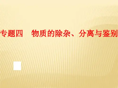 中考化学(鲁教版)二轮复习(专题突破强化训练)：专题四 物质的除杂、分离与鉴别