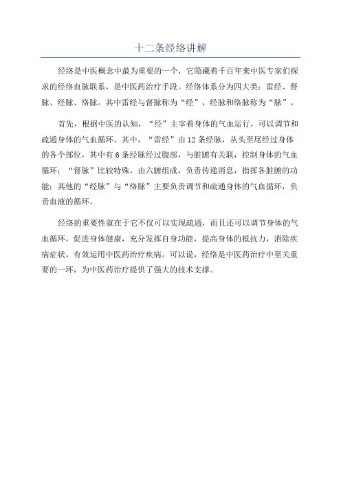十二条经络讲解