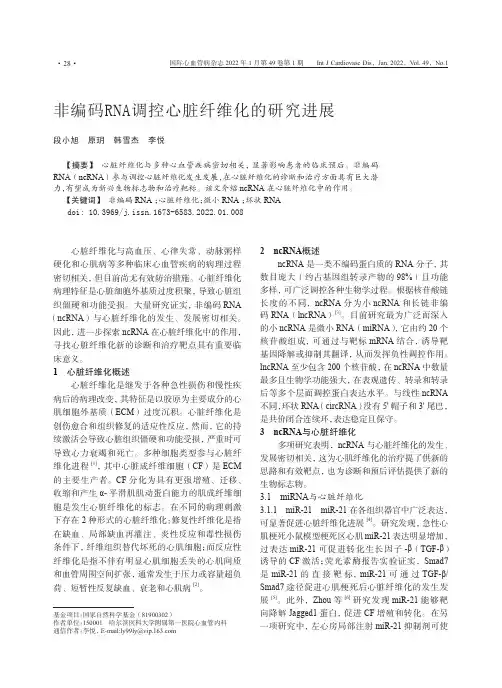 非编码RNA调控心脏纤维化的研究进展