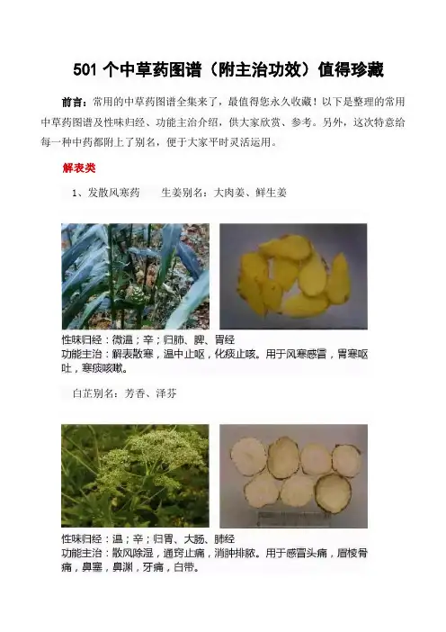 501个中草药图谱(附主治功效)值得珍藏