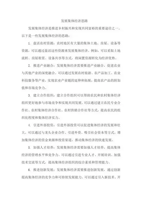发展集体经济思路