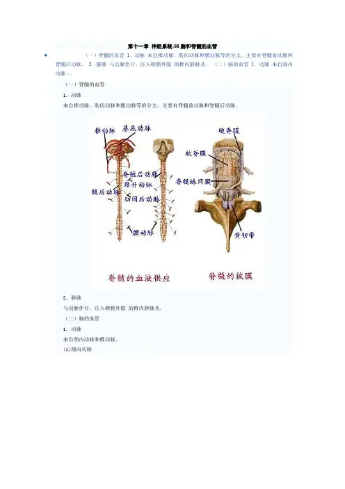 神经内科基本功8