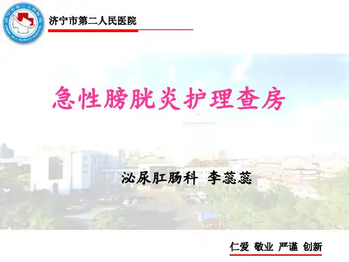 膀胱炎护理查房