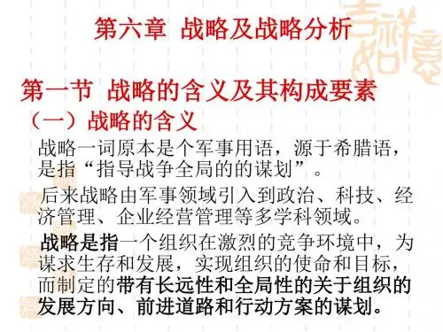 战略及战略分析教材.ppt