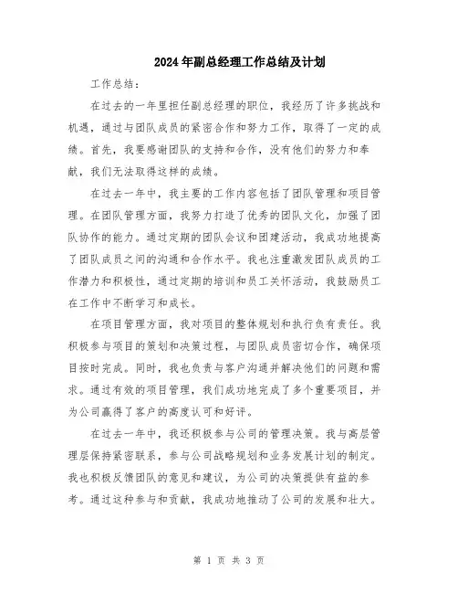2024年副总经理工作总结及计划