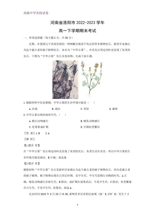河南省洛阳市2022-2023学年高一下学期期末考试地理试题(解析版)