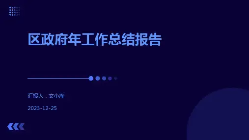 区政府年工作总结报告