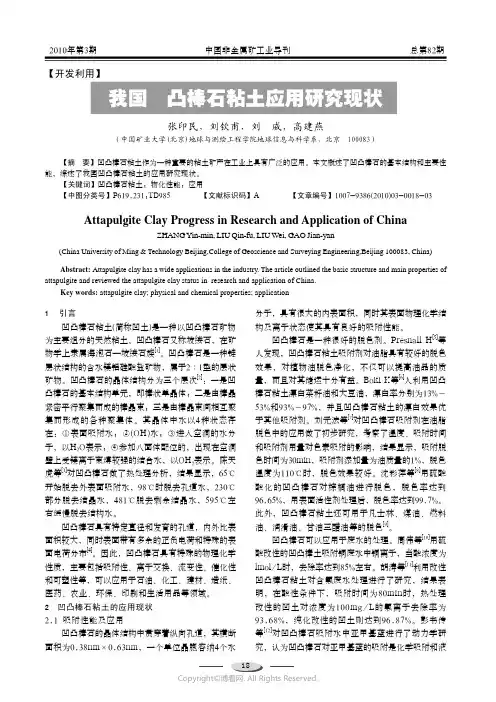 210977994_我国凹凸棒石粘土应用研究现状