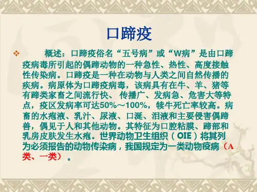 口蹄疫