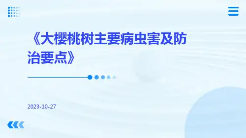 大樱桃树主要病虫害及防治要点