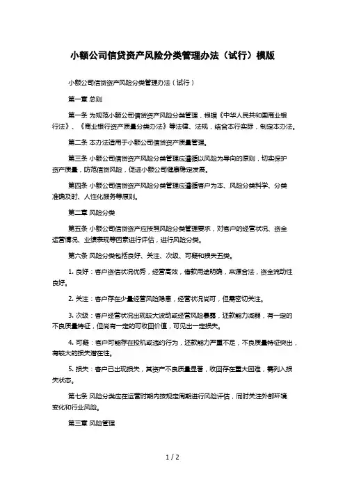 小额公司信贷资产风险分类管理办法(试行)模版