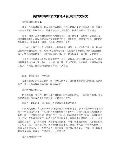 美的瞬间初三范文精选4篇_初三作文范文