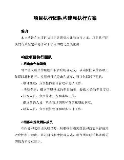 项目执行团队构建和执行方案