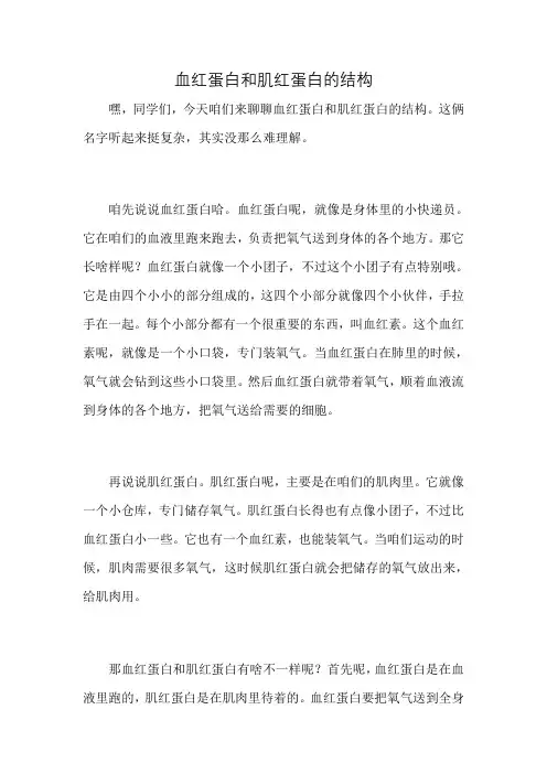 血红蛋白和肌红蛋白的结构